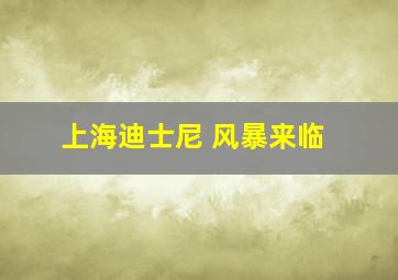 上海迪士尼 风暴来临